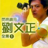 闪亮岁月 刘文正全集1